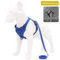 Reflective Dog Harness & Leash Set