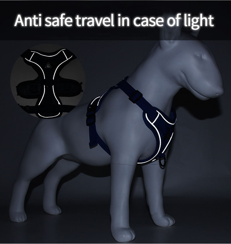 Reflective Dog Harness & Leash Set