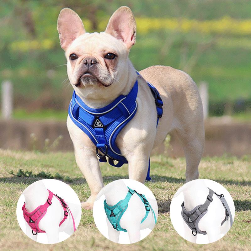 Reflective Dog Harness & Leash Set
